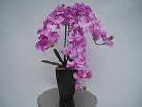 【送料無料】人工観葉植物/造花・高級胡蝶蘭３本立て光触媒品コストゼロの空気清浄機