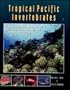 Tropical Pacific Invertebrates