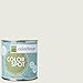 Inspired Eggshell Interior Colorspot Paint Sample, Imagine .06,  8-oz