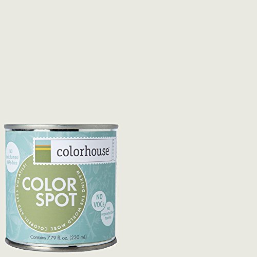 Inspired Eggshell Interior Colorspot Paint Sample, Imagine .06,  8-oz