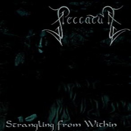 Peccatum - The Sand Was Made of Mountains Lyrics - Zortam Music