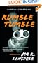 Rumble Tumble: A Hap and Leonard Novel (5) (Vintage Crime/Black Lizard)