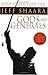 Gods and Generals (Kindle Edition)