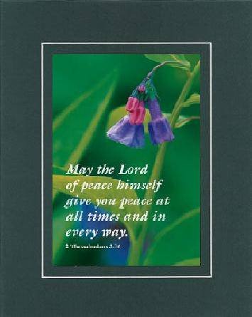 Beautiful and Inspiring 8 x 10 Inches Frame able Inspirational Floral Note Card (May the Lord of Peace Himself . . . ) on Beveled Matting (Green Groove)