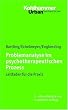 Problemanalyse im psychotherapeutischen Prozess: Leitfaden f�r die Praxis