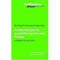 Problemanalyse im psychotherapeutischen Prozess: Leitfaden f�r die Praxis