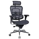 EUROTECH Ergohuman Mesh Chairs - Gray