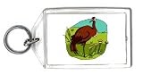 Keychain with water, pasture, crane, bird, animal, meadow