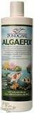 Aquarium Pharmaceuticals? Algaefix (16 oz.)