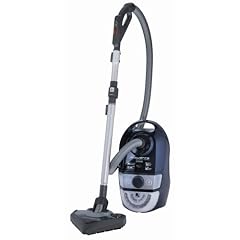 Rowenta RO 4541 Bodenstaubsauger Silence Force