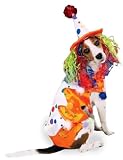Zack & Zoey Class Clown Costume Med