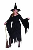 Velvet Witch Costume