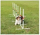 Essential Pet PDT00-11033 Ring Jump