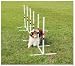 Essential Pet PDT00-11033 Ring Jump