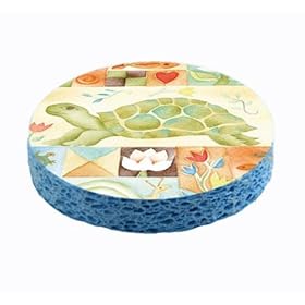  Turtle Fun Unique Kitchen Sponge