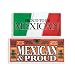 Mexican Car Magnet Case Pack 72
