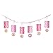 Minnie's 1st Birthday Lantern Garland