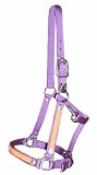 NEW Nylon Halter with Leather Overlay & Texas Stars