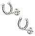 STERLING SILVER MINI HORSESHOE EARRINGS ON POSTS title=