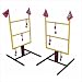 Wild Sales Arizona Cardinals Tailgate Golf Toss Game