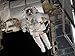 STS-118 Astronaut, Construction and Maintenance on International Space Station August...