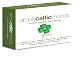 Artistes divers, Simply celtic moods (coffret 4 cd)