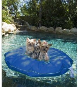 Pet Pool and Deck Lounger Kentucky Blue (MD 39")