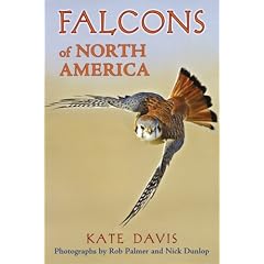 Falcons of North America