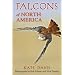 Falcons of North America