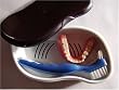 Denture Storage and Cleaning Kit (White Case)