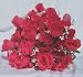 84 Silk Rose Flowers w/Raindrops - Wedding Flowers - Bridal/Floral - Hot Pink