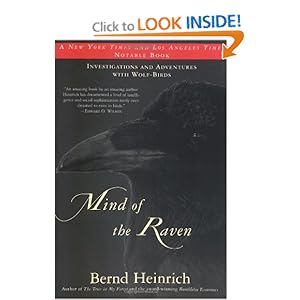 Mind of the Raven - Bernd Heinrich