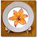 Orange Lily - may birth flower, birth flower, lily, lilies, lilium, flowering plants, plants - 8 Inch Porcelain Plate