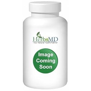 Gingko Biloba 500mg Freeze-Dried - 120 - Gel Cap by Eclectic Institute Inc