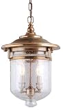 Mason Outdoor Pendant Light - 11 inches wide