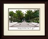 South Florida USF Bulls Framed Lithograph Print
