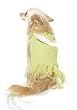 Puppy Sprite Fairy Halloween Pet Costume Size Medium