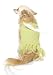 Puppy Sprite Fairy Halloween Pet Costume Size Medium