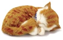 Perfect Petzzz Orange Tabby