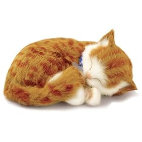 Perfect Petzzz Orange Tabby by Perfect Petzzz
