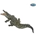 Nile Crocodile_s-1
