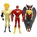 Search : Justice League Unlimited The Flash, Hawgirl, & Waverider Action Figure Set