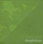 Amphibian