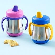 Foogo by Thermos Leak-Proof SS 7 oz Sippy Cup with Handle in Blue