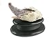 One of a kind Purple Agate Crocodile Carving Hatching