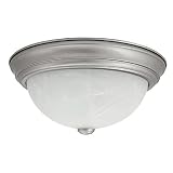 Buy 13 Two Light Flush Mount in Matte Nickel Bulb Type: Fluorescent by Capital Lighting