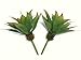 Neuhaus Decor 2 x 6.5 Agave Cacti, Artificial Plants