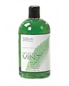 Archipelago Botanicals Morning Mint Body Wash - 32 oz