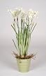 Artificial Narcissus