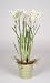 Artificial Narcissus